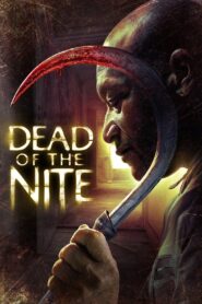 Dead of the Nite 2013 one on netflix