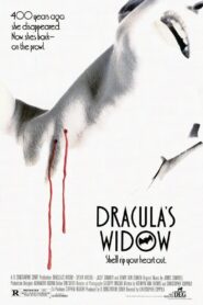 Dracula’s Widow 1988 one on netflix