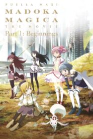 Puella Magi Madoka Magica the Movie Part I: Beginnings 2012 one on netflix