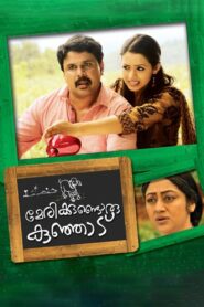 Marykkundoru Kunjaadu 2010 one on netflix