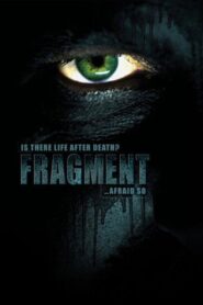 Fragment 2009 one on netflix