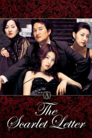 The Scarlet Letter 2004 one on netflix