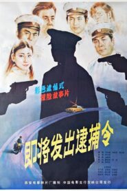 即将发出的逮捕令 1984 one on netflix