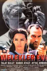 The House of Angels 2000 one on netflix