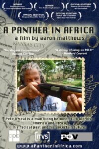 A Panther in Africa 2004 one on netflix