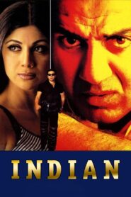 Indian 2001 one on netflix
