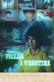 Difficult Beginning 1986 one on netflix