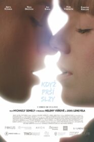 Falling Tears 2022 one on netflix