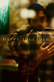 Happy Together 1997 one on netflix