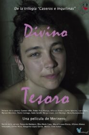 Divino tesoro 2024 one on netflix