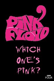 The Pink Floyd Story: Which One’s Pink? 2007 one on netflix