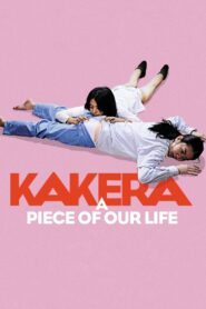 Kakera: A Piece of Our Life 2009 one on netflix