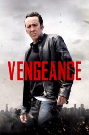 Vengeance: A Love Story 2017 one on netflix