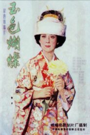 玉色蝴蝶 1980 one on netflix