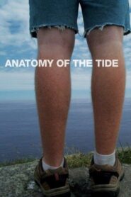Anatomy of the Tide 2013 one on netflix