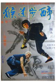 Monkey Kung Fu 1980 one on netflix