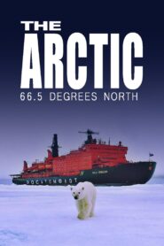The Arctic: 66.5 Degrees North 2023 one on netflix