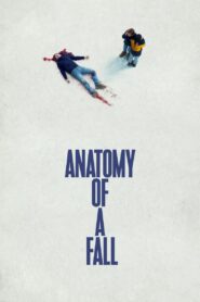 Anatomy of a Fall 2023 one on netflix
