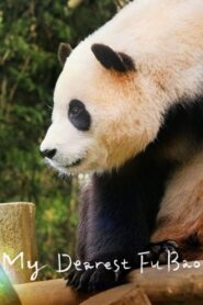 My Dearest Fu Bao 2024 one on netflix