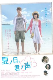 A Summer Day, Your Voice 2015 one on netflix
