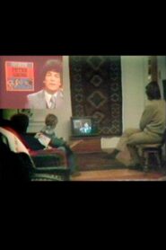 Local TV News Analysis 1980 one on netflix