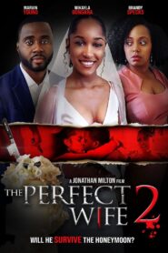 The Perfect Wife 2 2022 one on netflix