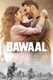 Bawaal 2023 one on netflix