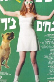 Dogs Are Color Blind 1996 one on netflix