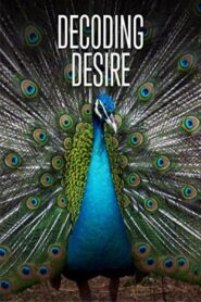 Decoding Desire 2014 one on netflix