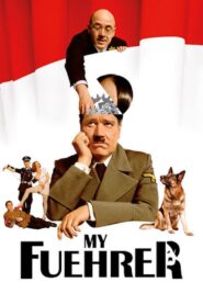 My Führer 2007 one on netflix