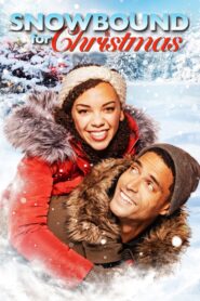 Snowbound for Christmas 2019 one on netflix
