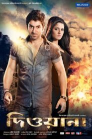 Deewana 2013 one on netflix