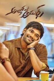 Alludu Adhurs 2021 one on netflix