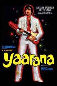 Yaarana 1981 one on netflix
