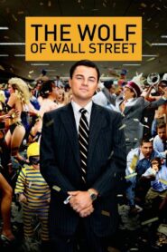 The Wolf of Wall Street 2013 one on netflix