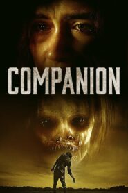 Companion 2021 one on netflix