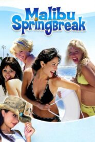 Malibu Spring Break 2003 one on netflix