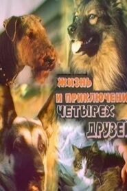 The Adventures of Four Friends 1980 one on netflix