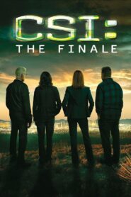 CSI: Immortality 2015 one on netflix