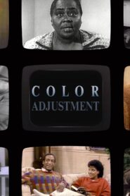 Color Adjustment 1992 one on netflix