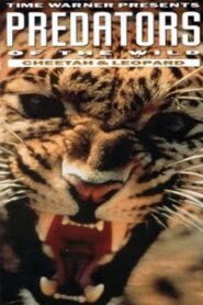 Predators of the Wild: Cheetah and Leopard 1992 one on netflix