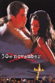 November 30th 1995 one on netflix
