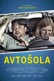 Driving School 2014 one on netflix
