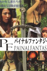 Painal Fantasy 2017 one on netflix