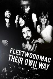 Fleetwood Mac: Their Own Way 2008 one on netflix