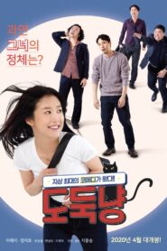 A Stray Cat 2020 one on netflix