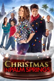 Christmas In Palm Springs 2014 one on netflix
