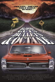 Blood, Guts, Bullets and Octane 1998 one on netflix