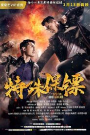 Special Bodyguard 2019 one on netflix