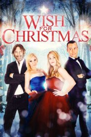 Wish for Christmas 2016 one on netflix